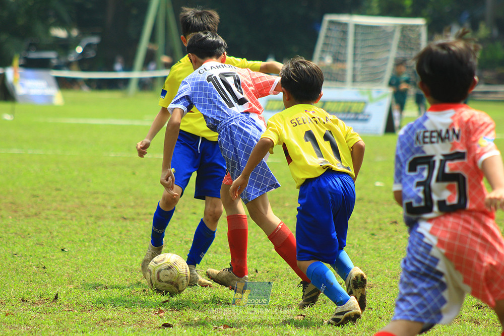5a ijl u10 210925 brazillian soccer serpong vs endang witarsa fc