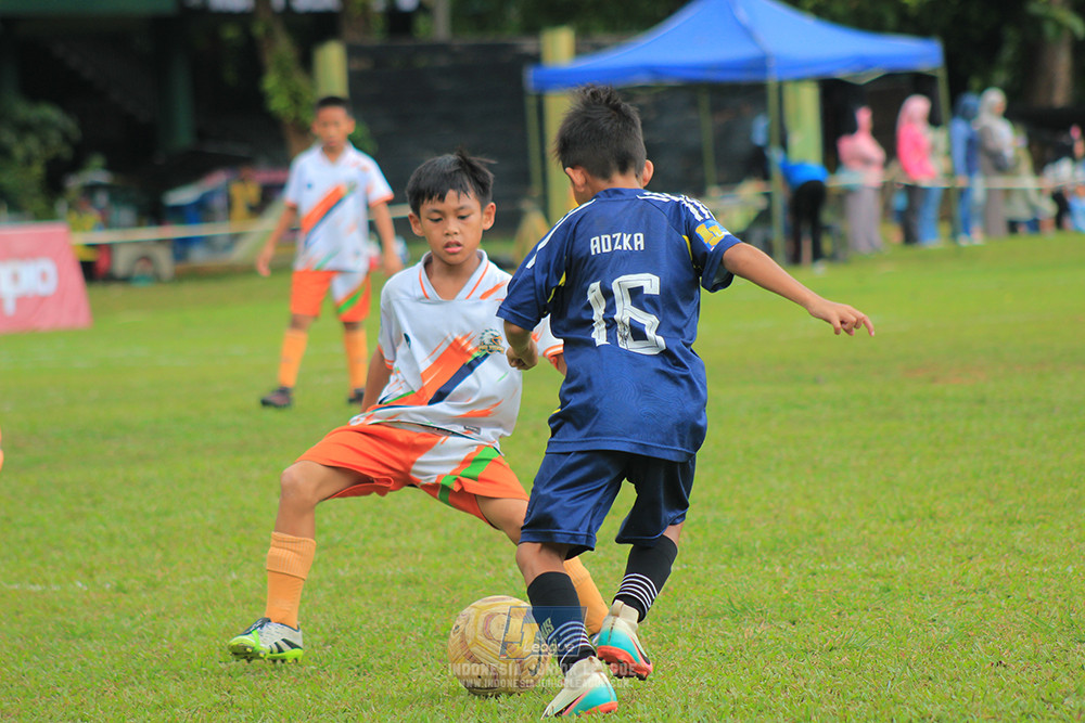 ijl big 8 champ u10 161125 provision soccer school vs berlian nusantara