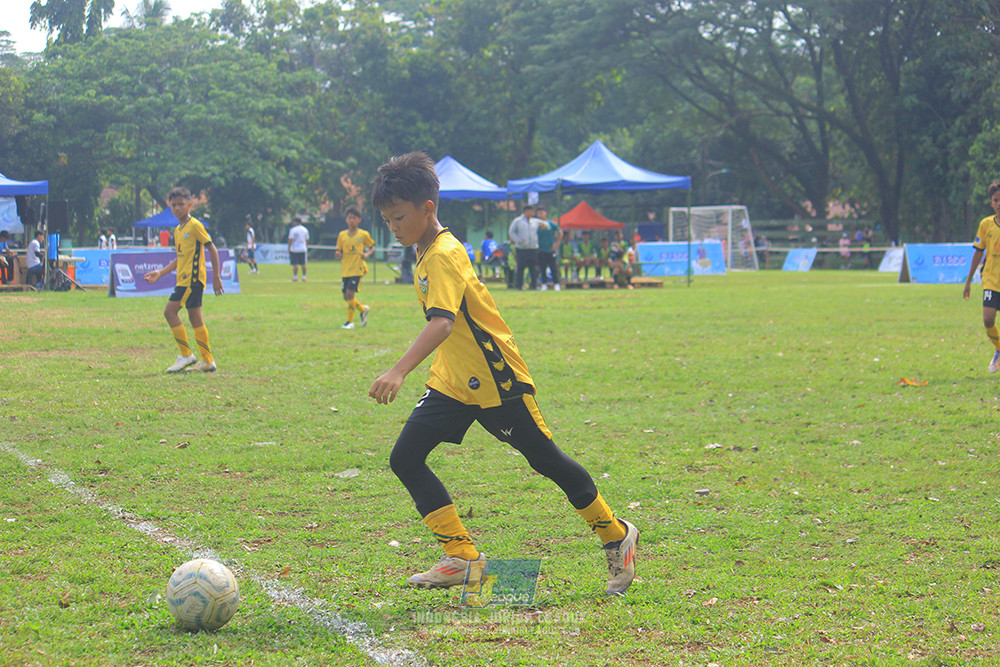 ijl big 8 champ u12 161125 newland fa vs toyo haryono