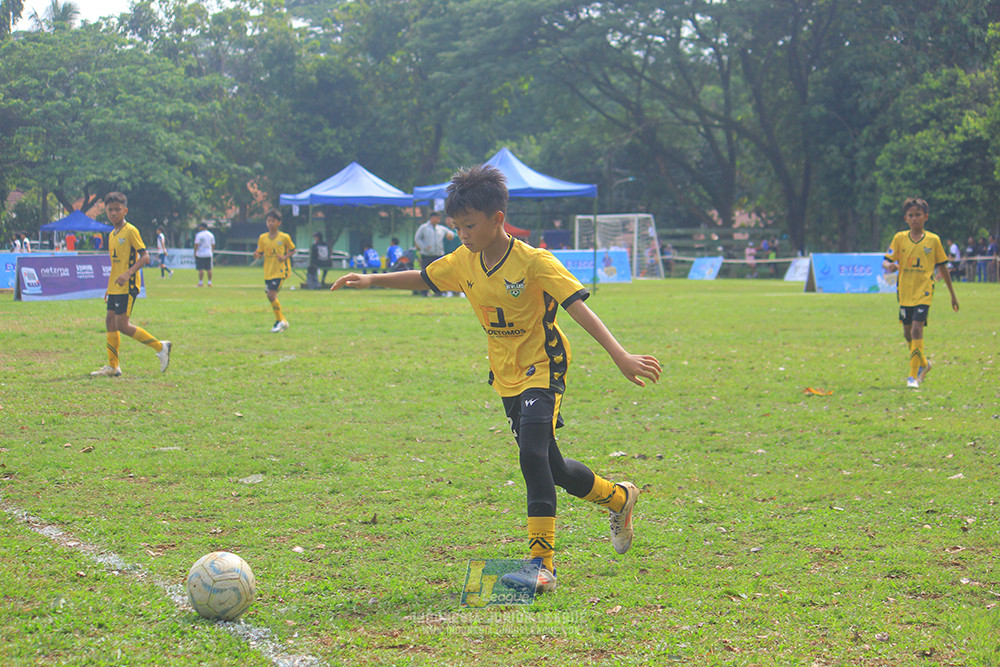 ijl big 8 champ u12 161125 newland fa vs toyo haryono