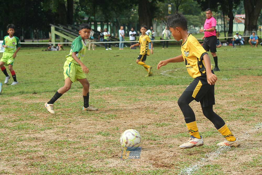 ijl big 8 champ u12 161125 newland fa vs toyo haryono