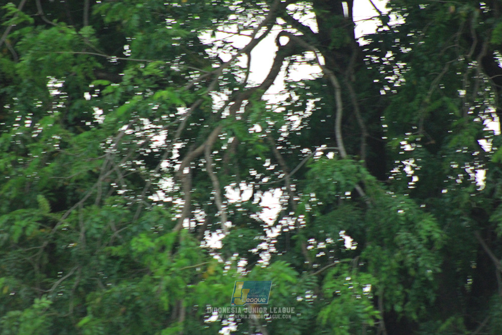 ijl u12 121025 toyo haryono vs newland fa