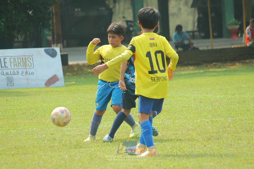 ijlu11 big21 plate brazillian ss senayan vs brazillian ss serpong