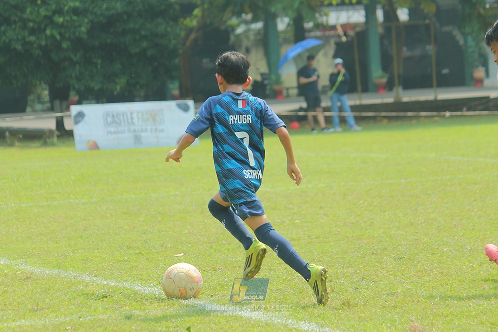 ijlu11 big21 plate brazillian ss senayan vs naz purwakarta