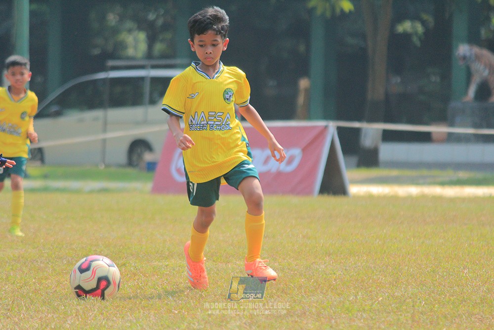 ijlu9 plate 050726 maesa pararaider vs brazillian ss senayan