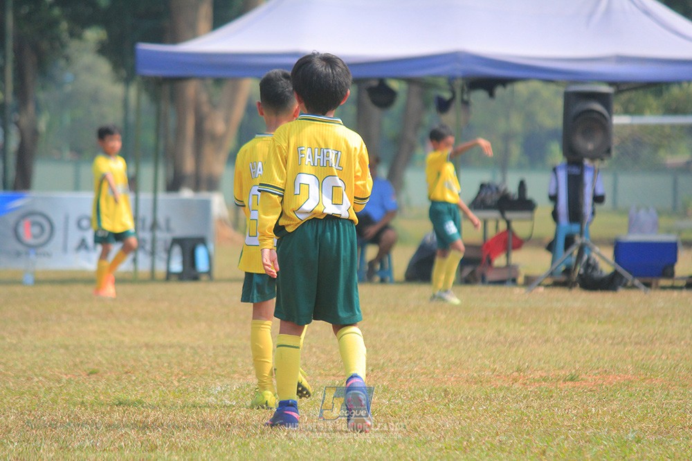 ijlu9 plate 050726 maesa pararaider vs brazillian ss senayan