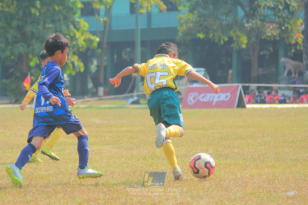 ijlu9 plate 050726 maesa pararaider vs brazillian ss senayan