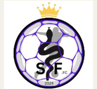 steelford united academy